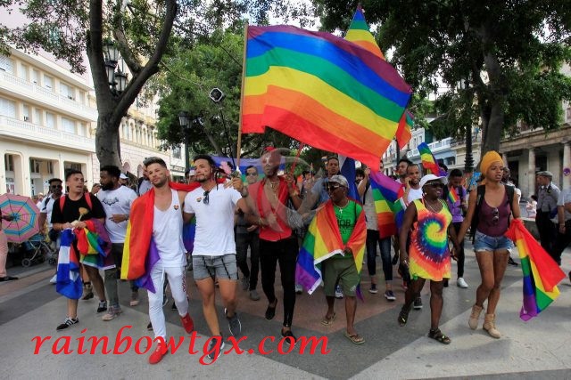 Alasan LGBT Berlambang Pelangi Akan Terkuak di Artikel Ini